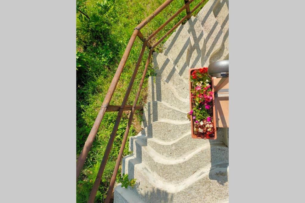 Villa Con Piscina 10 Posti Letto, L'Oliveta Di Rivalto Chianni Luaran gambar