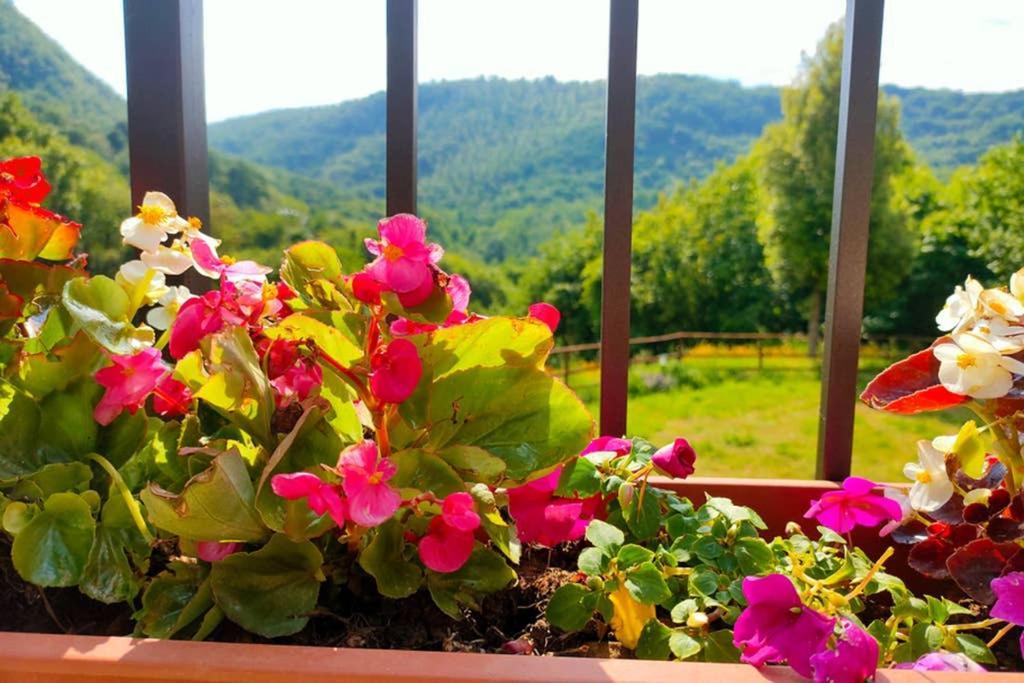 Villa Con Piscina 10 Posti Letto, L'Oliveta Di Rivalto Chianni Luaran gambar