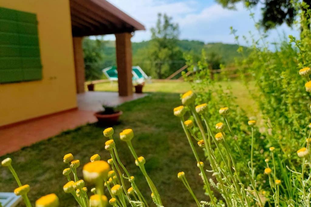 Villa Con Piscina 10 Posti Letto, L'Oliveta Di Rivalto Chianni Luaran gambar
