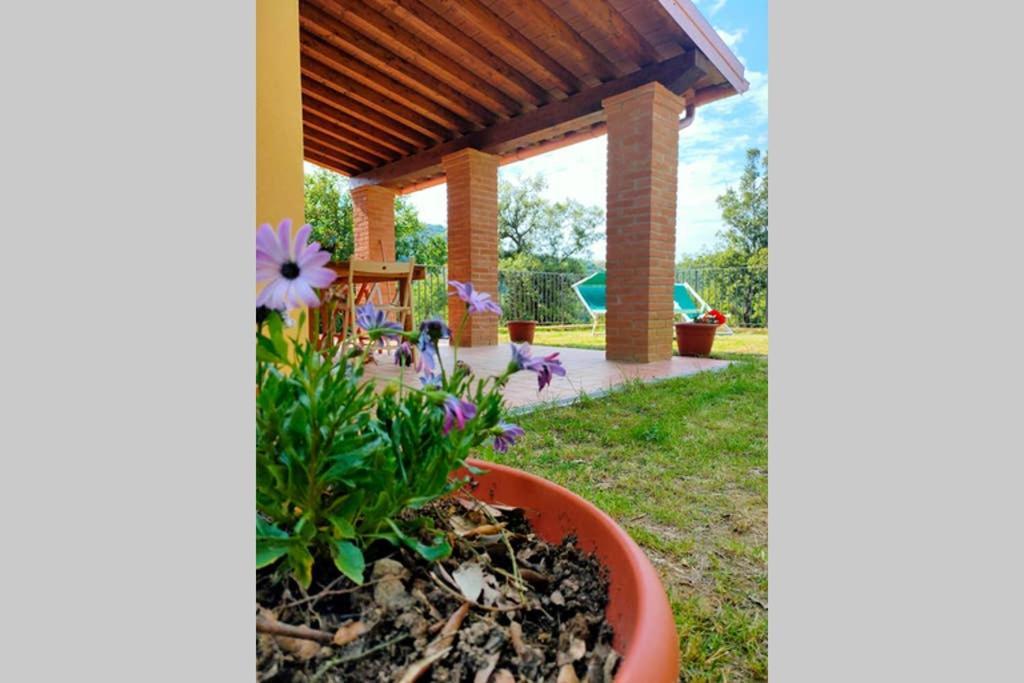 Villa Con Piscina 10 Posti Letto, L'Oliveta Di Rivalto Chianni Luaran gambar