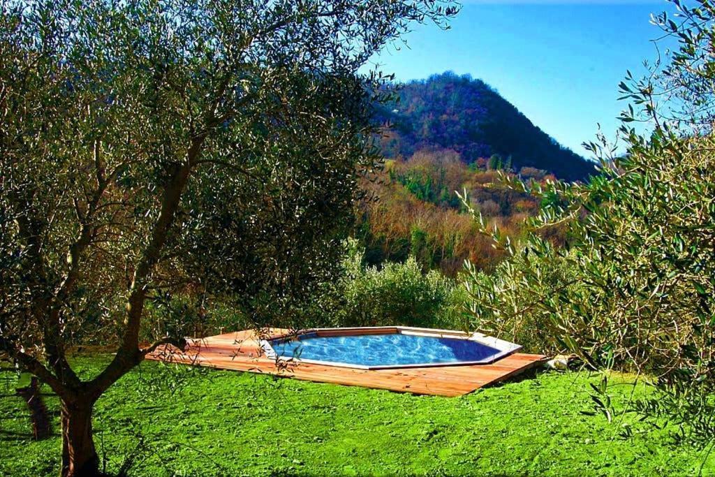 Villa Con Piscina 10 Posti Letto, L'Oliveta Di Rivalto Chianni Luaran gambar