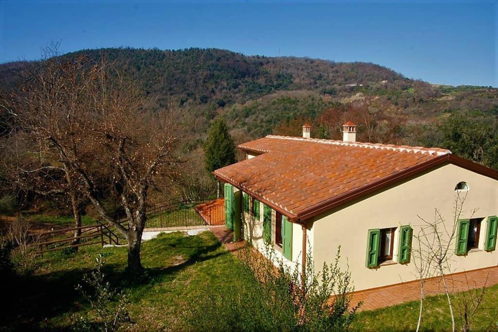 Villa Con Piscina 10 Posti Letto, L'Oliveta Di Rivalto Chianni Luaran gambar