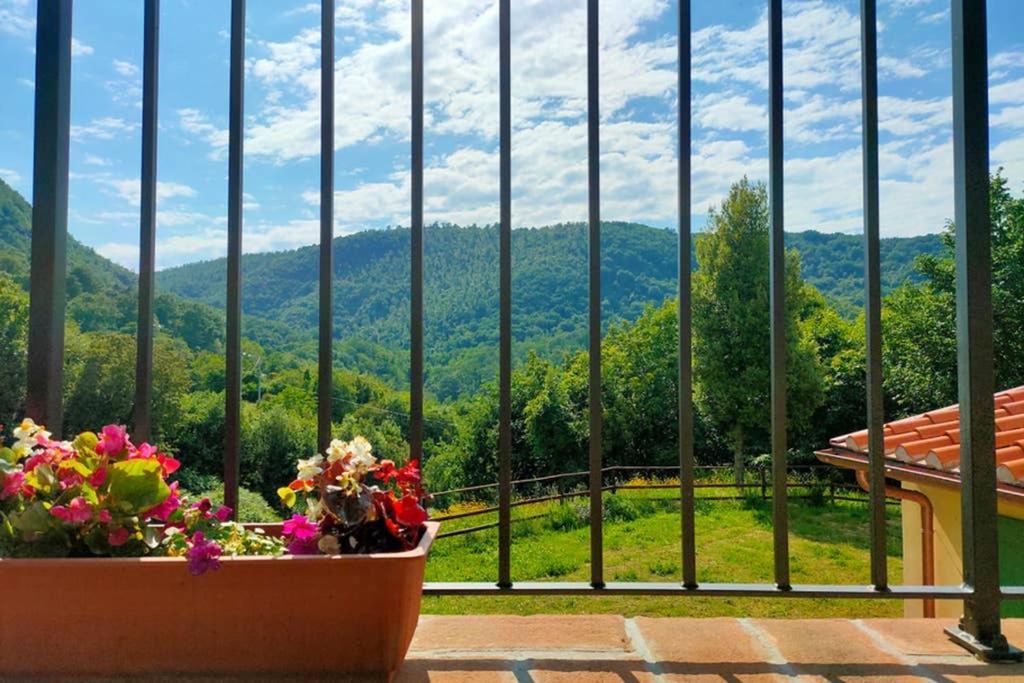 Villa Con Piscina 10 Posti Letto, L'Oliveta Di Rivalto Chianni Luaran gambar