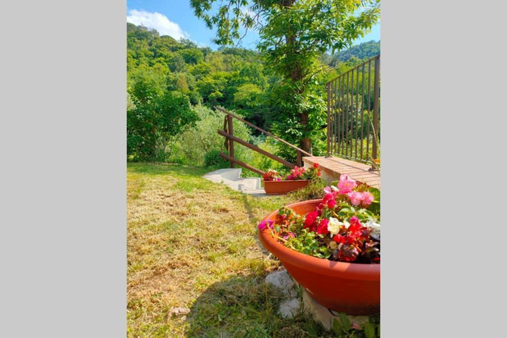 Villa Con Piscina 10 Posti Letto, L'Oliveta Di Rivalto Chianni Luaran gambar